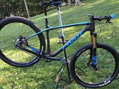 pivot les single speed