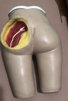 Nasco Life Form Female Intramuscular Injection Simulator LF961UA Nursing Trainer