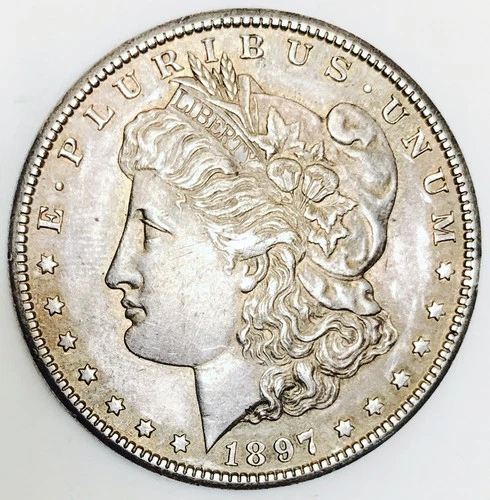 *1897 S MORGAN DOLLAR* *TOUGH DATE* NR #S1182