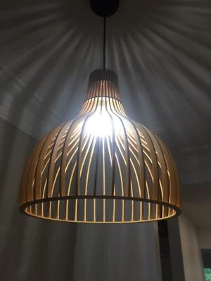 Pendant Light Crompton Bailey Ceiling Lights Gumtree Australia