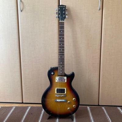 Les Paul Type Component Guitar