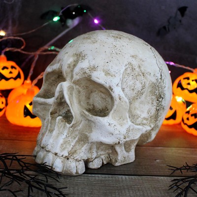 Harz Schädel Mensch Kopf Modell Halloween Dekoration für Regal Festival Schreibtisch