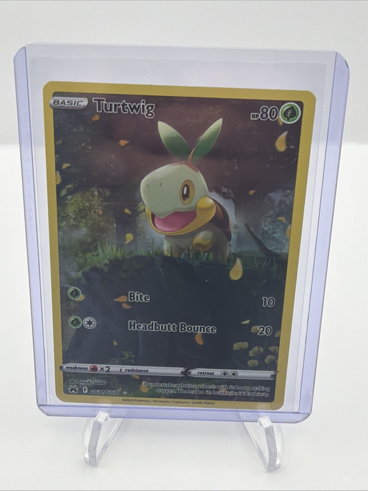 The Pokémon Company Turtwig GG31/GG70 Crown Zenith Galarian Gallery Holo ENG