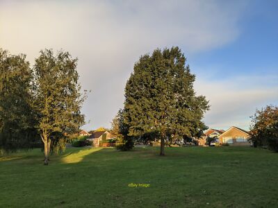 Photo 6x4 After the rain A pleasant morning c2021