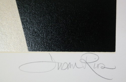 Susan Rios Signed Numbered "Bouquet From the Side Garden" Serigraph Print Only - Picture 3 of 9