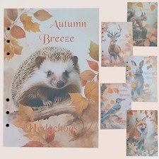 Księga pierścieniowa Strony uzupełniające DIN A5 / DIN A6 – 50 stron, papier uzupełniający, zestaw