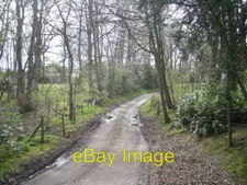 Photo 6x4 Lane through Alkmund Wood Crossgreen  c2008