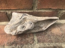 Natural Weathered Driftwood for Aquarium, Taxidermy, Crafts, Reptiles, Terrarium