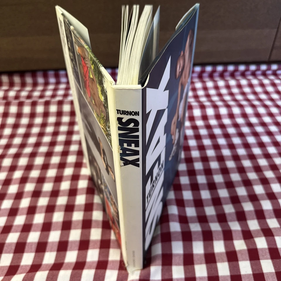 Turnon: Sneax (2013, Hardcover) BRUNO GMUNDER Male Erotic Photography book - Image 3 of 4