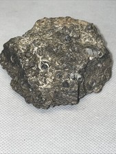 Turritella Agate w/ Fossils. 184 Grams