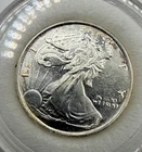 1/10 Oz Walking Liberty/Eagle .999 Silver Bullion Round Encapsulated
