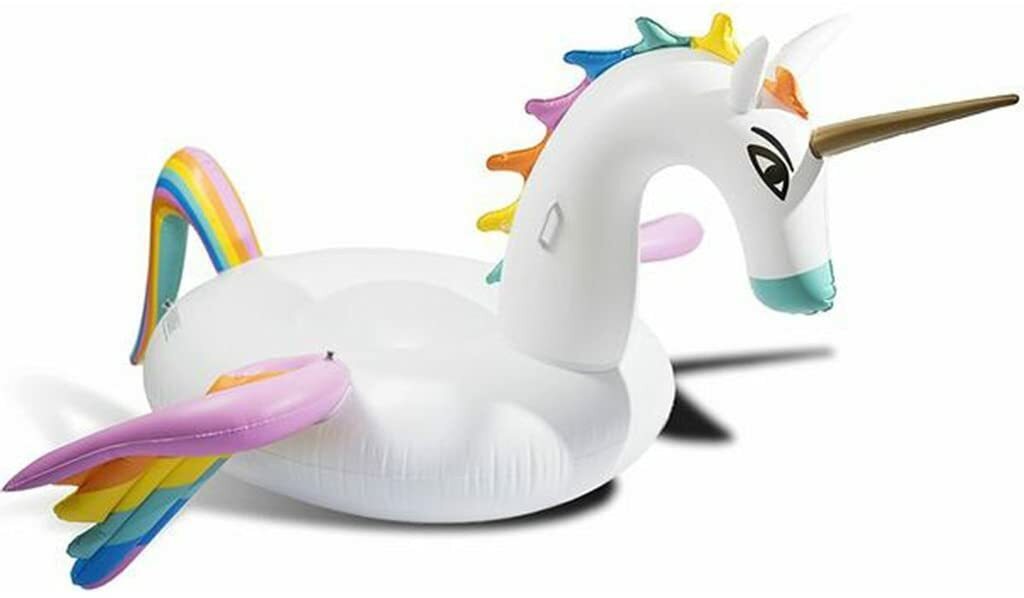 pegasus floaty