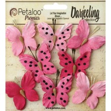 Petaloo Premier "TEASTAINED MINI PINK WITH Black Dot Butterflies" 1486 - 110