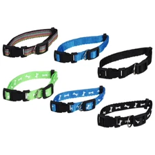 Greenbrier Kennel Club Adjustable Small Dog Collar 