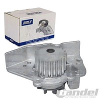 Dolz Wasserpumpe Passend FüR CitroËN Berlingo BX Evasion Xantia Xsara ZX Fiat 12
