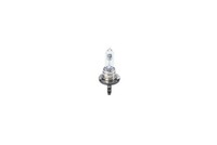 GlüHlampe Fernscheinwerfer Bosch 1 987 301 099 FüR Abarth Alfa Romeo Audi BMW