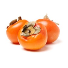 25 AMERICAN PERSIMMON SEEDS - Diospyros virginiana