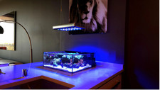 Reef Casa Tide Shallow AIO Aquarium Mark II 12 Gallons