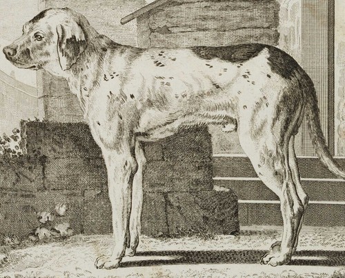 J. SÈVE (1742-1788), Der Spürhund, Kupferstich Realismus Tiere 1700-1749 - Bild 3 von 4