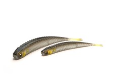 Raid Japan Super Fish Roller Hover Mid Stroll...