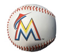 Florida Marlins Baseball Official Graphic Logo Play Ball
