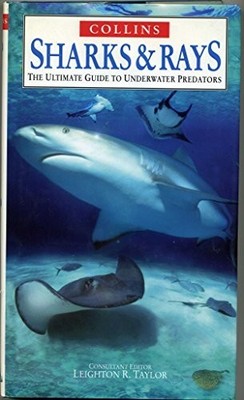 Ultimate Guides   Sharks and Rays: The Ultimate Guid...