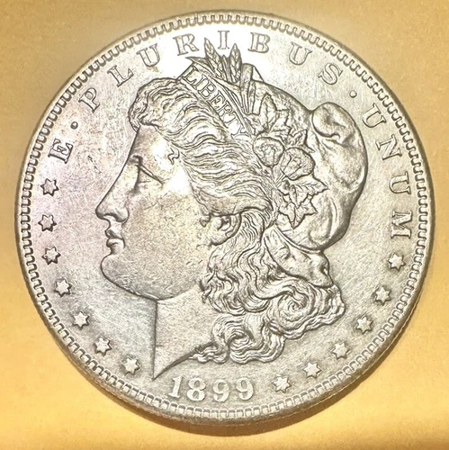 1899-S $1 Morgan Silver Dollar Uncirculated San Francisco Mint