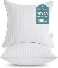 Oubonun 20 x 20 Throw Pillow Inserts, Firm and 2 Count (Pack of 1), White 