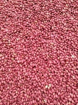 Natural Organic Peanuts Groundnuts Fresh Whole Raw Peanut Best Quality 1KG.