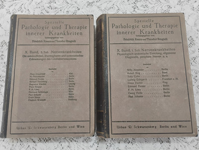 Pathologie Und Therapie Innerer Krankheiten X Band 1 & 2 Teil two Books 1924 HC