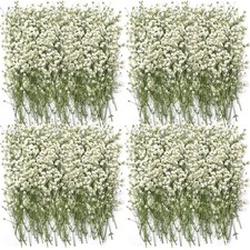 200 Pcs Mini Dried Babys Breath Pressed White Flowers Bulk Real Natural Flat ...