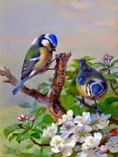 Titmouse on Tree by A. Thorburn Bird Tile Mural Kitchen Wall Backsplash Ceramic