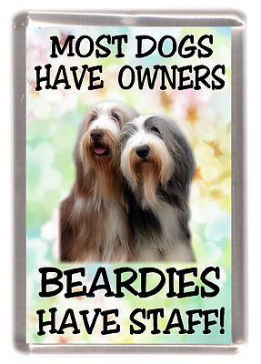 Bearded Collie Kühlschrankmagnet ''Die meisten Hunde ..... Beardies haben Stab!'' von Starprint