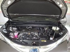 Hood Struts for Toyota Sienna (XL40) 2020-2024 Gas Dampers Shock Lift Supports