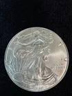 2016 - 1 oz American Silver Eagle Coin - One Troy oz .999 Bullion