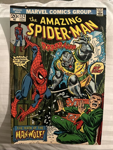 The Amazing Spider-Man #124 (Marvel Comics September 1973)