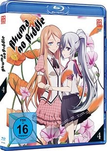 Akuma no riddle - Vol.4 [Blu-ray] von not specified | DVD | Zustand sehr gut