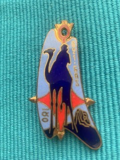 TRES RARE INSIGNE EMAILLE SAHARA 621 GAS