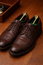 Vintage Metal Shoe Trees Adjustable Spring Shoe Stretchers Men Women Pair 2pcs 