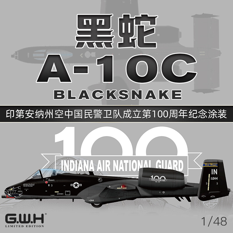 Great Wall Hobby S4823 1/48 A-10C 1921-2021 BLACKSNAKE INDANA AIR