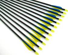 12 Shiny Black® 32" Fiberglass Target Practice Arrows, Replaceable Screw-In Tip