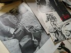 Foto 10 di 11