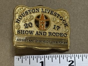 Houston Livestock Show and Rodeo 2017 Assistant District Chairman Brass Pin