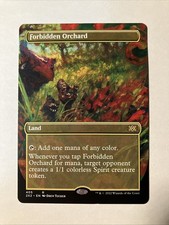 MTG / Forbidden Orchard / 2X2 / #405 / Regular (Borderless) / Rare / NM