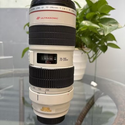 Canon EF 70-200mm f/2.8 L IS USM Tested Excellent