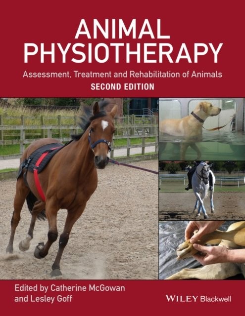 Animal Physiotherapy: Assessment, Treatment and Rehabilitation of Animals by... - Image 4