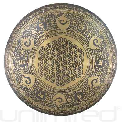 Devyom Gong curativo del tempio tibetano intagliato con chakra da 51 cm Devyom Gong curativo del tempio tibetano intagliato con chakra da 51 cm