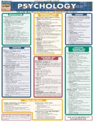 Psychology (Quickstudy: Academic) - Pamphlet By BarCharts, Inc. - VERY GOOD