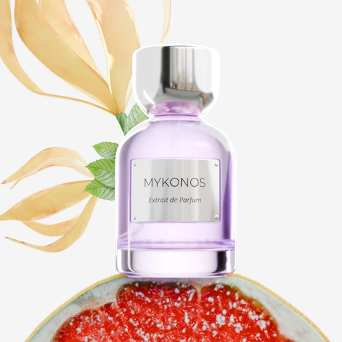 Reflection Elixir Perfume 50ml Fresh Citrus Floral Long Lasting Unisex Fragrance - Afbeelding 3 van 4