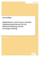 MöGlichkeiten Und Grenzen Virtueller Organisationsstrukturen FüR Die Mitarbeiter